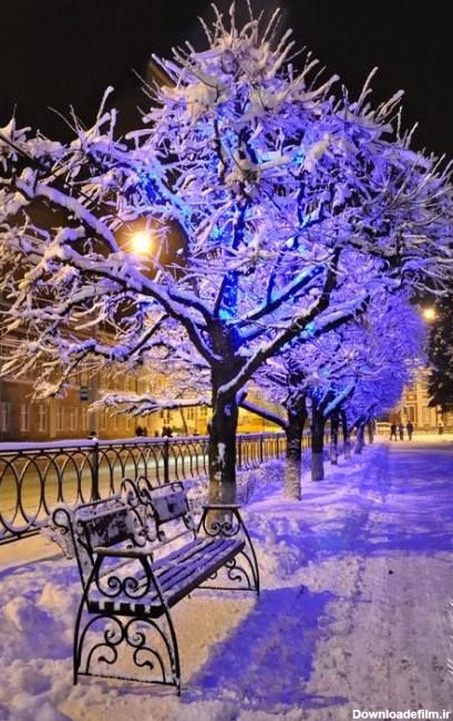 عکس های زیبای زمستانی 2020 ، عکس زمستانی برای پروفایل