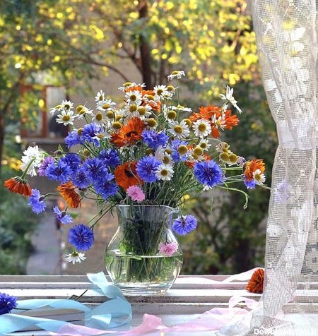 گل و گلدان های فوق العاده زیبا و دیدنی /تصاویر