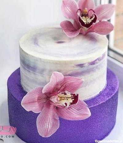 کیک تولد دخترانه شیک