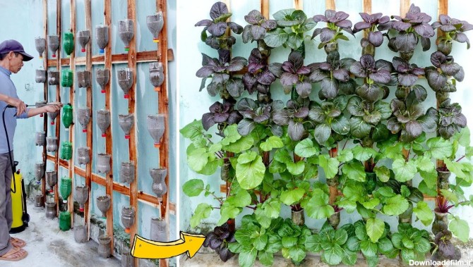 ایده های خلاقانه؛ دیگه نیازی به باغچه نیست روی دیوار سبزی بکار هم خوشگل هم کاربردی