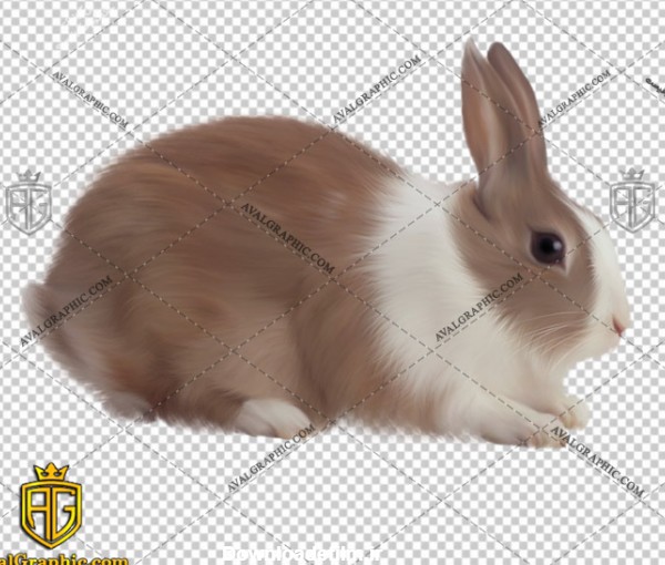png خرگوش سفید قهوه ای , پی ان جی خرگوش , دوربری خرگوش , عکس خرگوش با زمینه شفاف, خرگوش با فرمت png