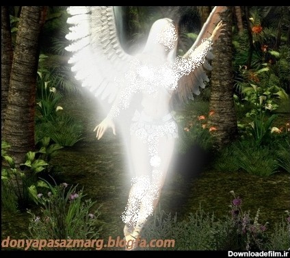 آیا حورالعین ها فرشته هستند؟
