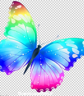 دانلود تصویر دوربریده شده و فاقد بکگرند پروانه هفت رنگ کارتونی به ...