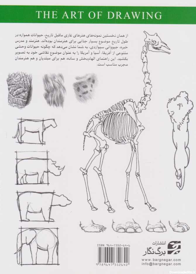 کتاب طراحی حیوانات وحشی اثر جیووانی سیواردی | ایران کتاب