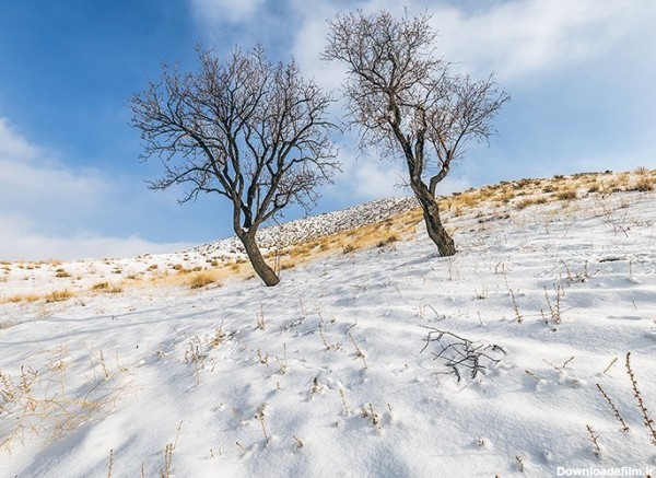 طبیعت زمستانی ارومیه- عکس استانها تسنیم | Tasnim