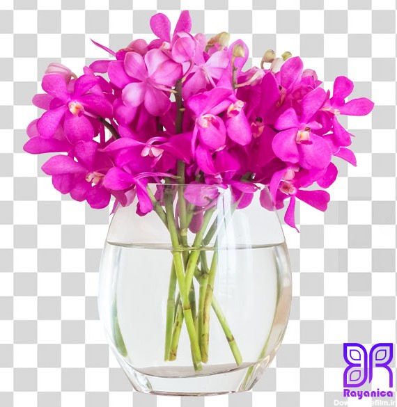 دانلود عکس گل صورتی با گلدان بصورت دوربری - رایانیکا ...