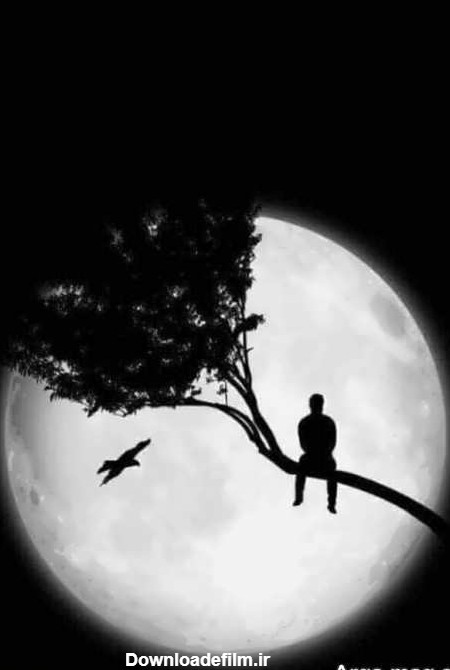 عکس تاریکی شب و ماه