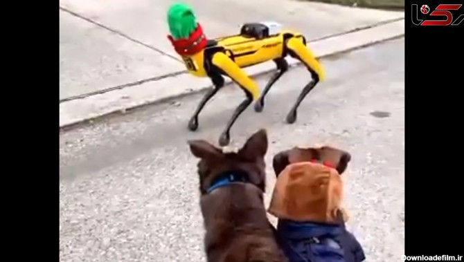 ببینید / عکس‌العمل عجیب سگ‌ ها به ربات‌ ها در حین پیاده‌روی ...