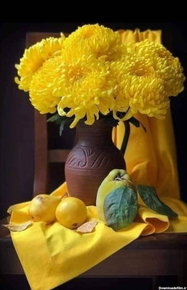 تصویر جدید از گل های زرد در گلدان شیک با کیفیت بالا
