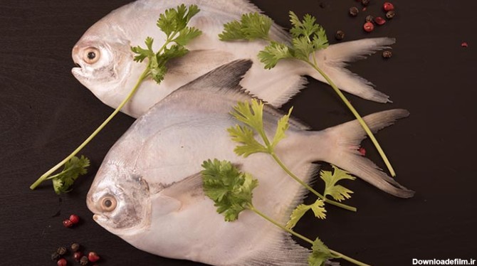 خاصیت ۱۳ ماهی خوراکی مغذی از دریای شمال و جنوب - اقتصاد آنلاین