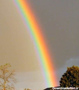 رنگین کمان Rainbow