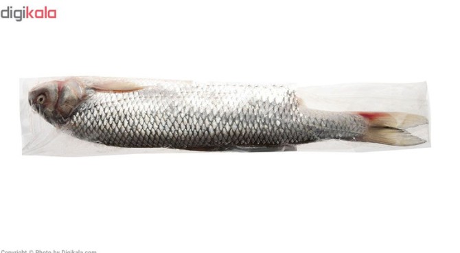 قیمت و خرید ماهی سفید دریای خزر شکم خالی کیان ماهی خزر مقدار 750 گرم