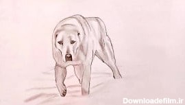 آموزش نقاشی سگ چوپان گرجی