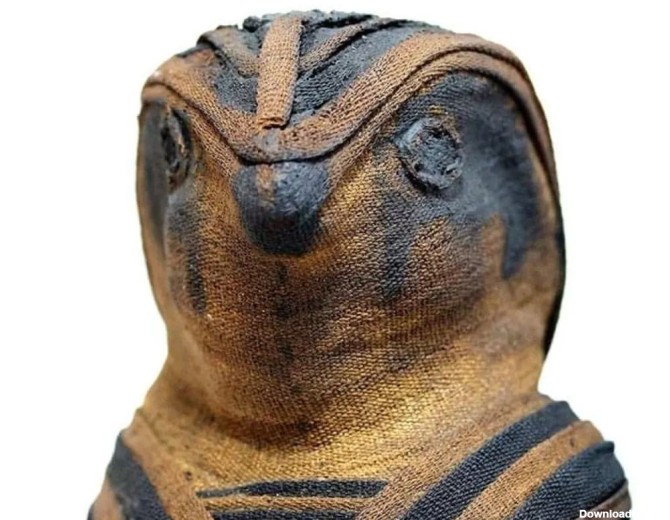 فرارو | تصاویری جذاب از مومیایی حیوانات در مصر باستان