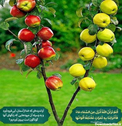 پوستر آیه قرآن: رنگ‌ها در طبیعت؛ تجلی قدرت آفرینش پروردگار