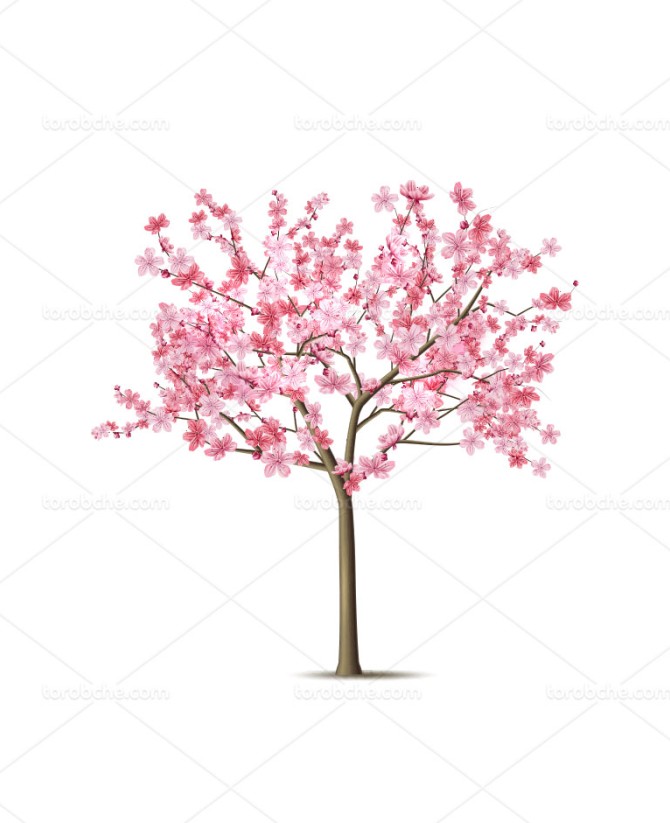 وکتور درخت بهاری - گرافیک با طعم تربچه - طرح لایه باز