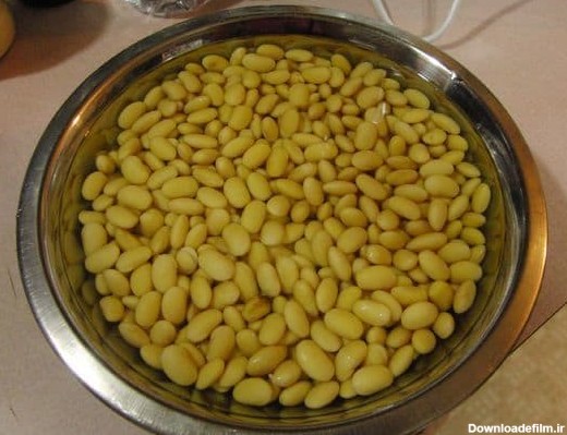 شیر سویا خانگی و طرز تهیه آن در منزل - سویا ایران