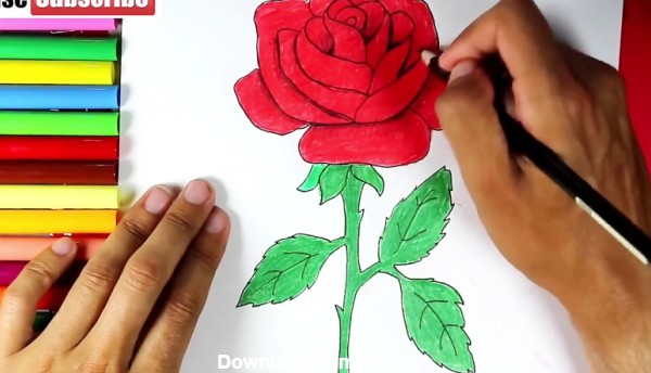 آموزش نقاشی - کشیدن گل رز
