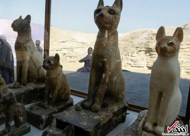رونمایی بیش از 70 شیر و گربه مومیایی شده در مصر | سایت انتخاب