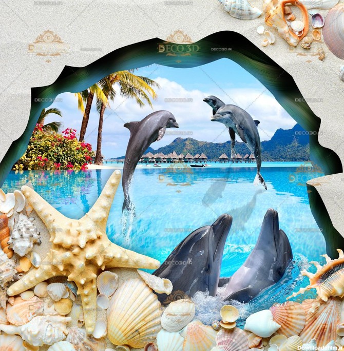 دلفین ها در دریا همراه با تصویر ماسه و صدف