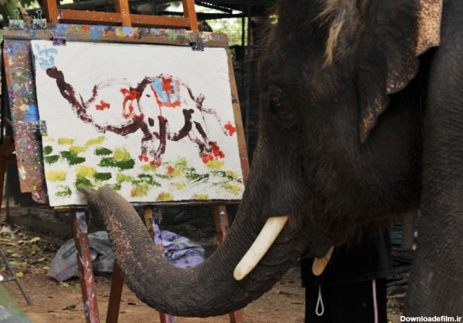نقاشی کشیدن حیوانات