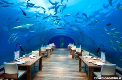 رستوران زیرآبی ایتا در مالدیو | آدرس ، عکس و معرفی (1401 ...
