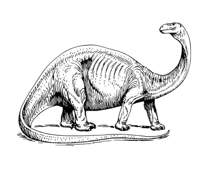 دانلود طرح نقاشی دایناسور بزرگ