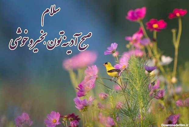 پیامک و استوری سلام صبح بخیر جمعه + عکس نوشته