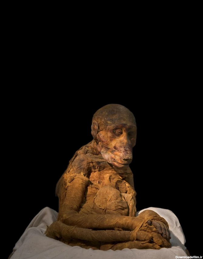 خدایان مومیایی شده در مصر باستان! + عکس - اقتصاد آنلاین
