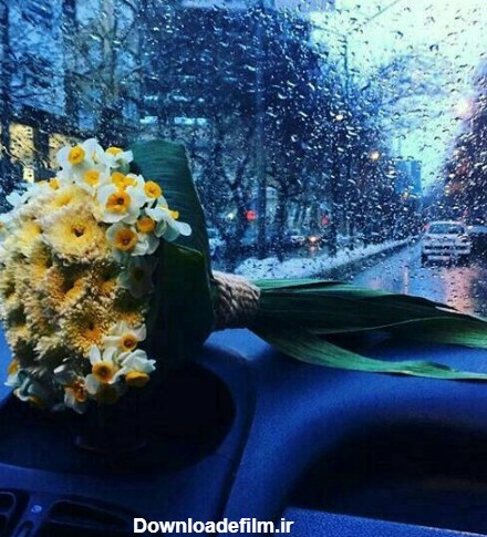 عکس گل رو داشبورد ماشین