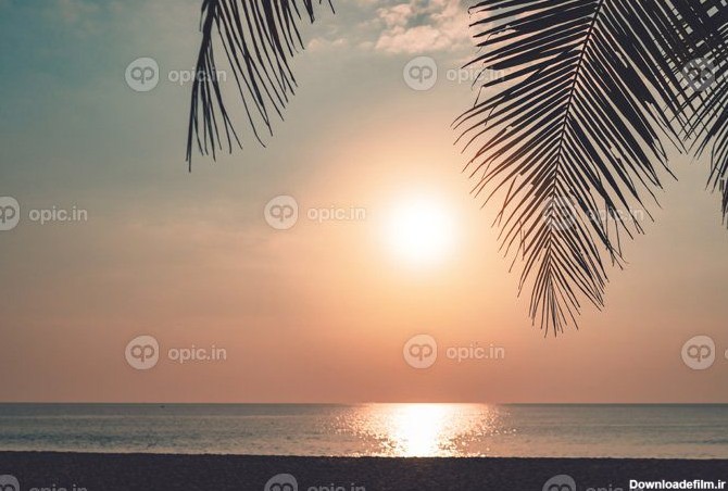 دانلود عکس طبیعت گرمسیری ساحل تمیز غروب آفتاب زمان آسمان با نور ...