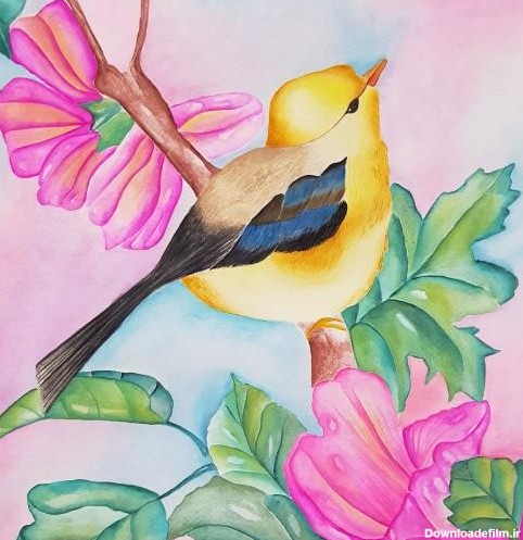 خرید و قیمت نقاشی آبرنگ گل و پرنده از غرفه Zaesi