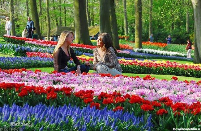 تصاویر باغی شگفت انگیز و دیدنی در هلند