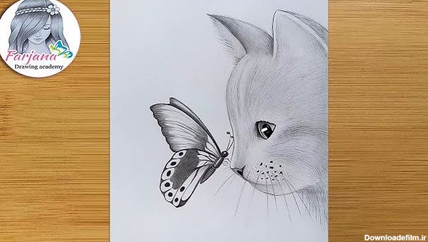 آموزش گام به گام طراحی با مداد - گربه و پروانه
