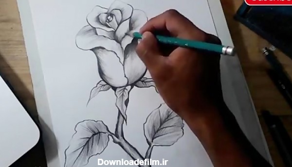 *طراحی سیاه قلم گل رز *