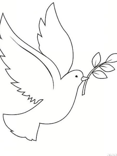 نقاشی کودکانه کبوتر در حال پرواز