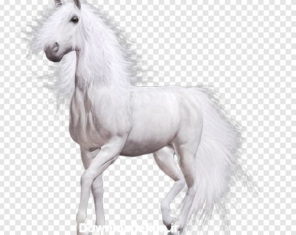 دانلود فایل png اسب سفید بصورت ترانسپرنت دوربری شده