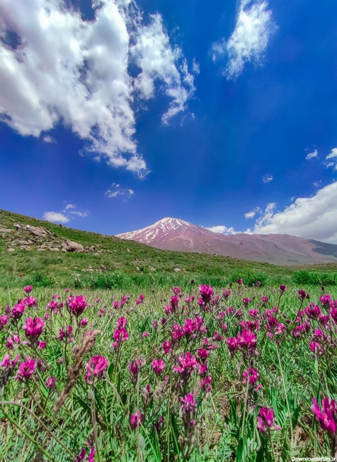 نمایی زیبا از قله دماوند در بهار
