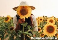 ایده - چند ایده جذاب ژست عکاسی با گل آفتابگردان | انجمن رمان نویسی ...