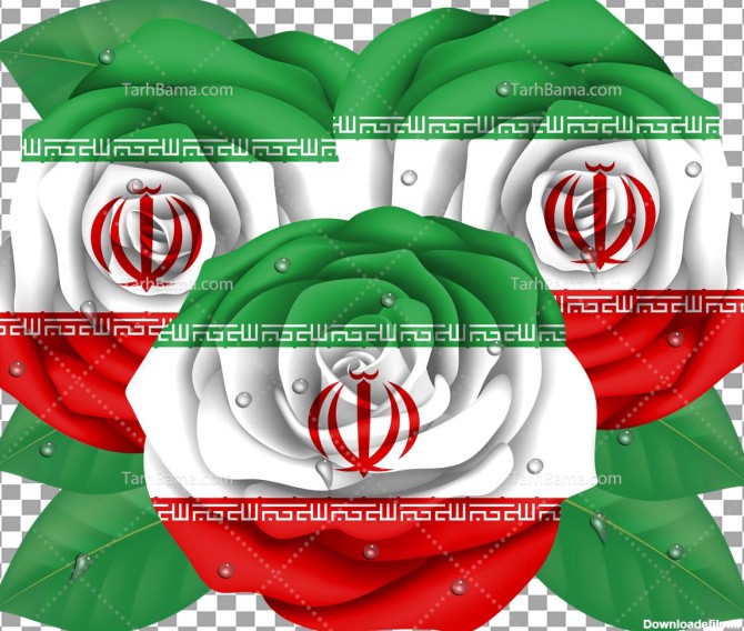 تصویر با کیفیت گل با طرح پرچم ایران