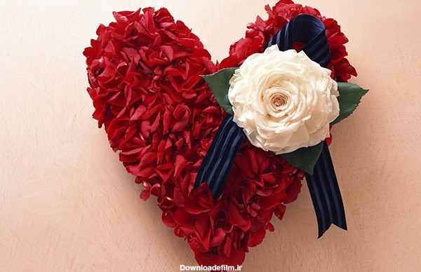 پروفایل گل و قلب با رز سفید - عکس ویسگون