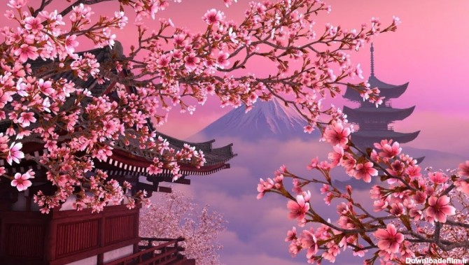 شکوفه های گیلاس ژاپن (ساکورا) و فصل + مکان های تماشای آن