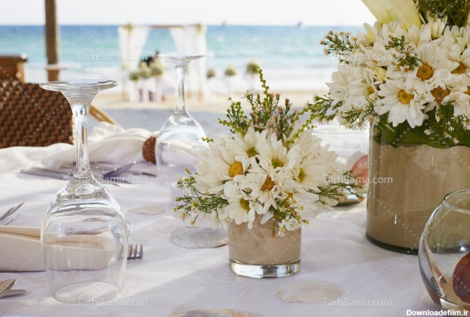 تصویر با کیفیت گل بابونه روی میز سفید