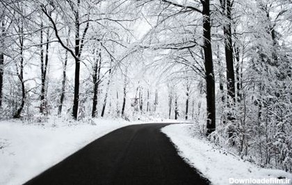جاده جنگلی در زمستان Winter Road