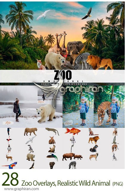 دانلود تصاویر حیوانات وحشی واقعی PNG دوربری Zoo Overlays ...