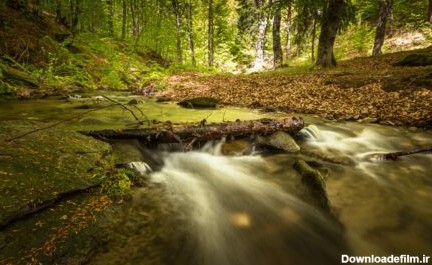 دانلود عکس جریان آب با نوردهی طولانی در جنگل در طول روز