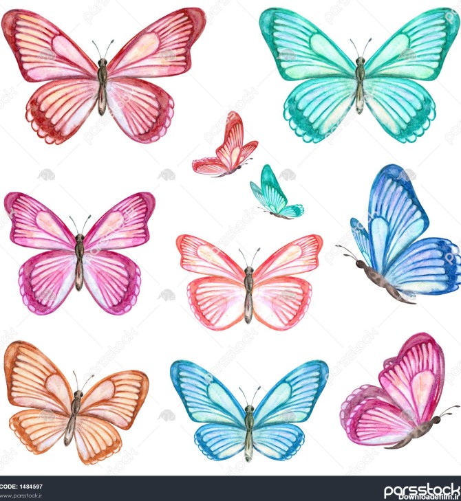 مجموعه ای از پروانه های زیبا برای طراحی شما نقاشی آبرنگ 1484597
