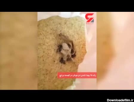 پیدا شدن دم موش در کیسه برنج یک برند معروف+فیلم و عکس