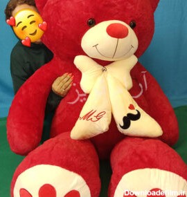 عروسک خرس بزرگ - قیمت انواع خرس شاسخین بزرگ 1 و 2 متری ارزان