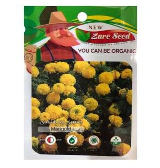 بذر گل جعفری زرد هلندی به همراه روش کاشت/ قیمت+خرید - کلبه کشاورز